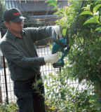 Hekkesaks test: De 12 beste hekkesaksene (desember 2025)