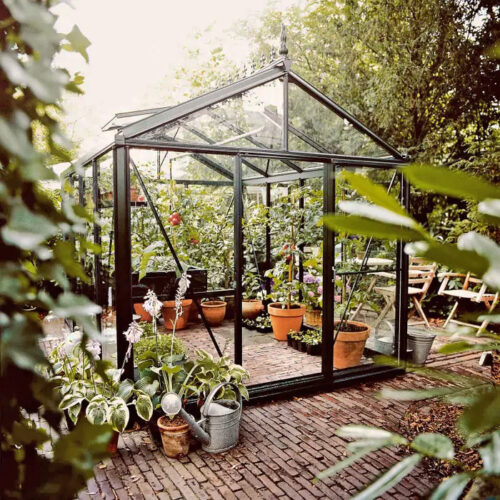 Drivhus Oasen Senior Victorian Mørk grønn, 7,3 m²
